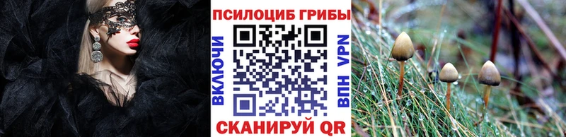 Псилоцибиновые грибы мухоморы  Купить закладки  Кувшиново 