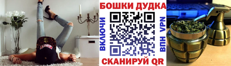 Купить закладки  Кувшиново  Бошки Шишки THC 21% 